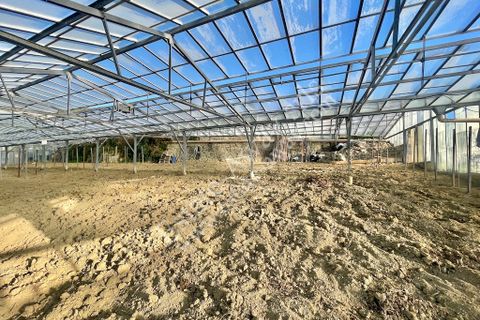 Helårsgrund i Ospedaletti, Imperia, Ospedaletti - € 200.000 | Ref: EM1275 - foto 6